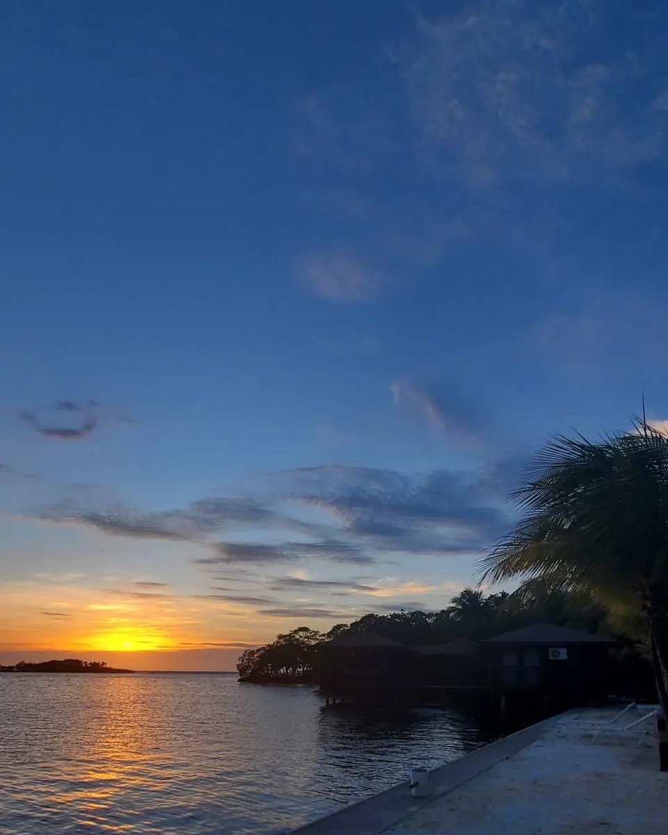 AKResort's tweet photo. Chasing sunsets at Anthony's Key โ where the colors of the sky and sea merge into a stunning display of nature's beauty!
#sunsetvibes #islandlife #anthonyskeyresort https://t.co/tLpvDqVLWn