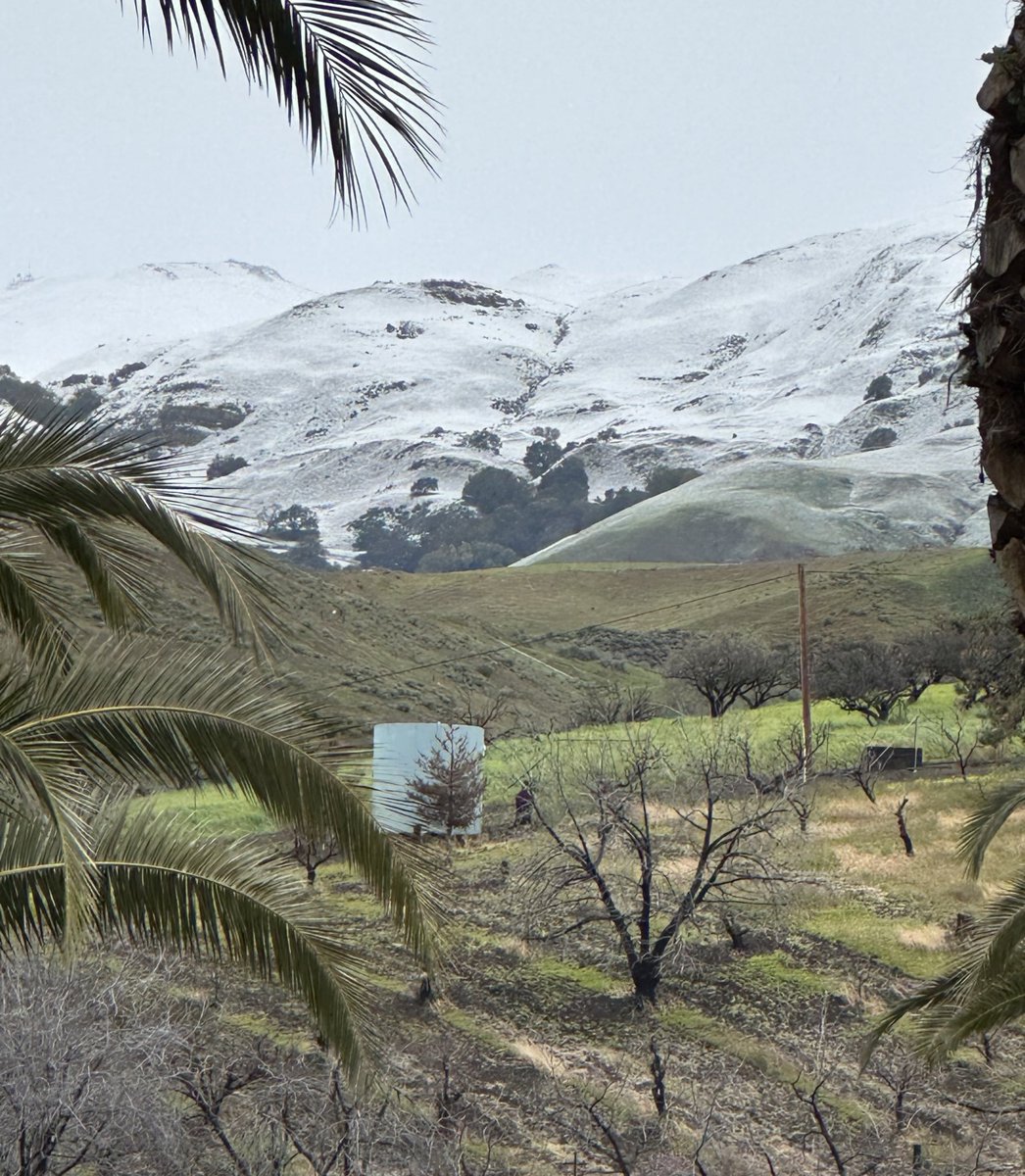 The Rock Trading Group tweet media