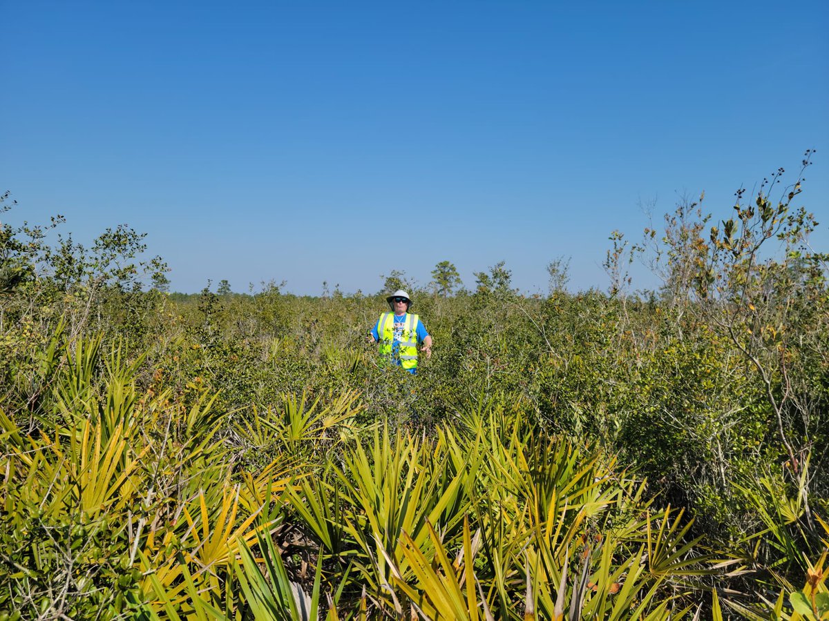 Ken Gioeli tweet media