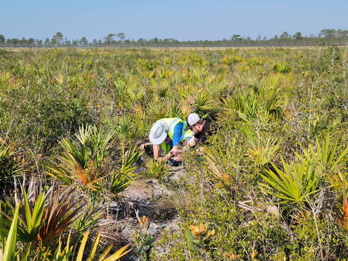 Ken Gioeli tweet media