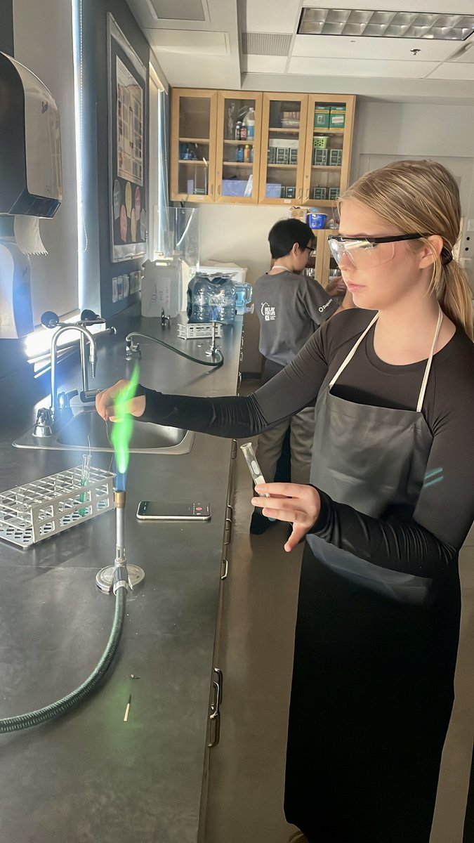 Happy Friday Southridge! 😃

This morning our Science 8 students were exciting electrons in chemical solutions to demonstrate atomic theory.🔥⚛️

Have a great weekend! 

#sridge #sridgeacademics