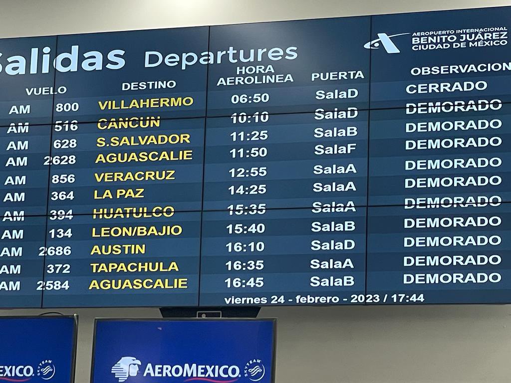 Paulina Meneses tweet media