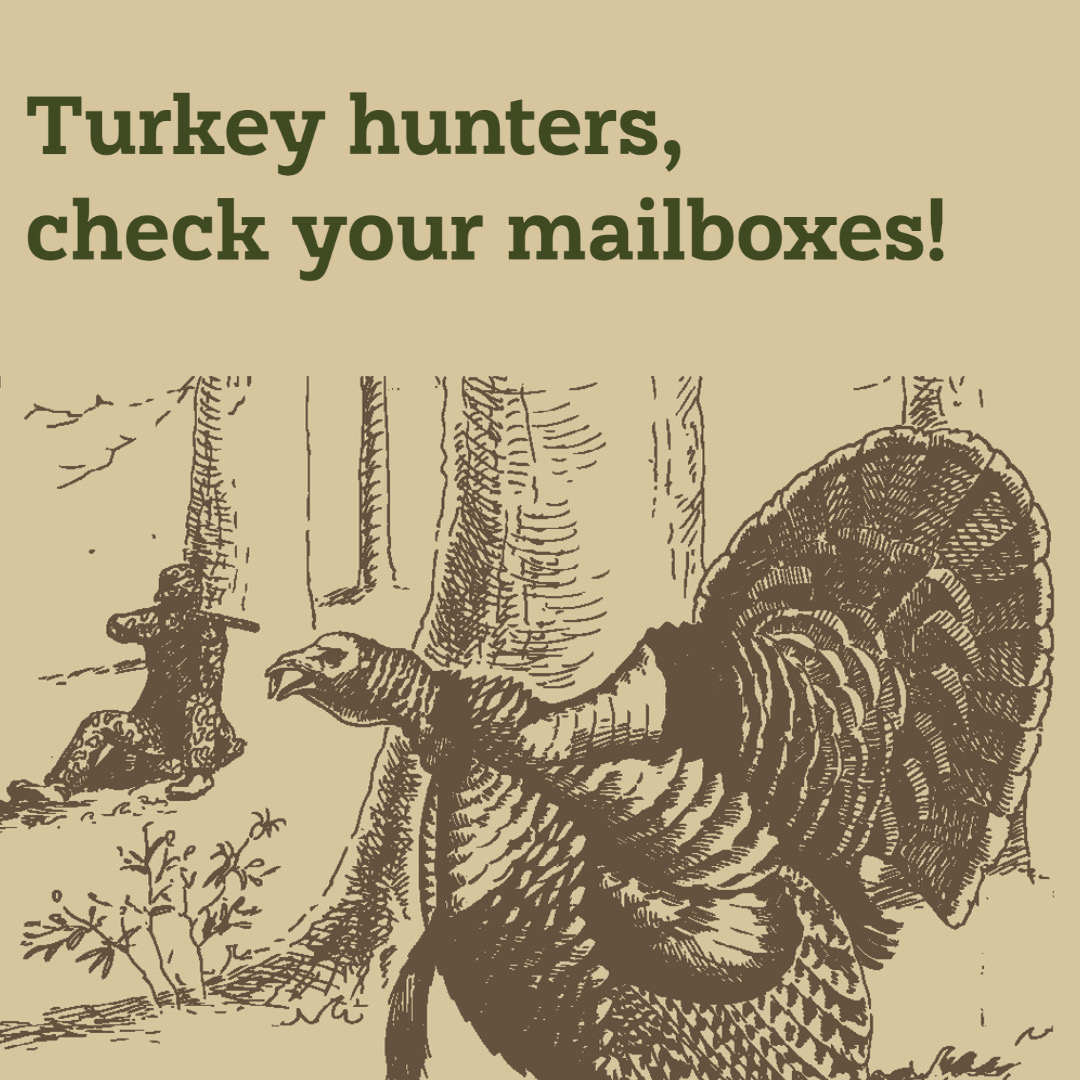 S.C. Dept. of Natural Resources on Twitter "The wait is over... turkey