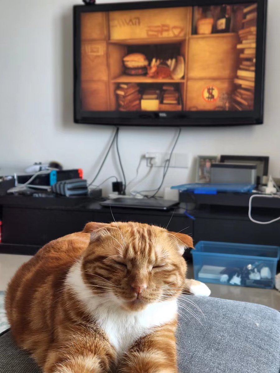 <a href="/CatsWatchStray/">Cats Watching Stray</a> I mean he wasn't really watching but he was involved..