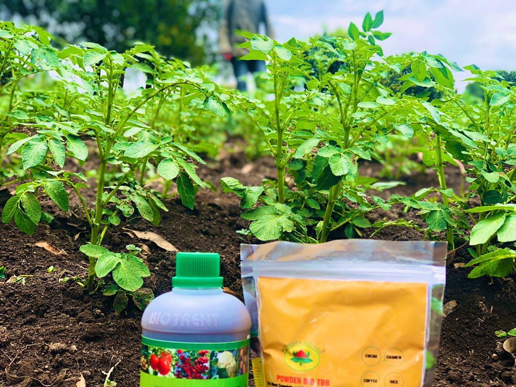 AfrintBio's tweet photo. Bio fertilizer now… https://t.co/QHeO4BOSVK