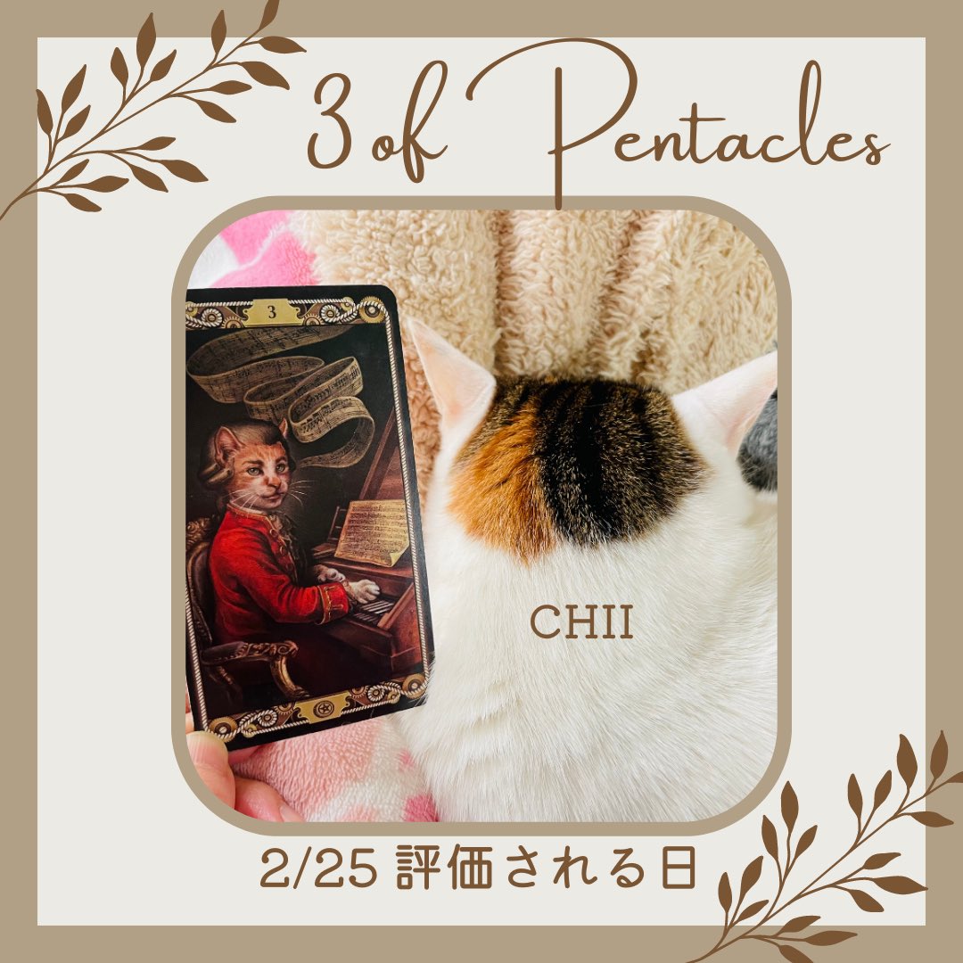 oraclerinko's tweet image. 2/25評価される日👍地道に取り組んできたことが認められそう✨また自分では普通だと思っていたことが注目され、何か依頼されることも☝️自分の実力を信じ、胸をはって🤗この機会に腕を磨きましょう💪 #3ofPENTACLES #あたしかりあげﾆｬ #タロット #猫