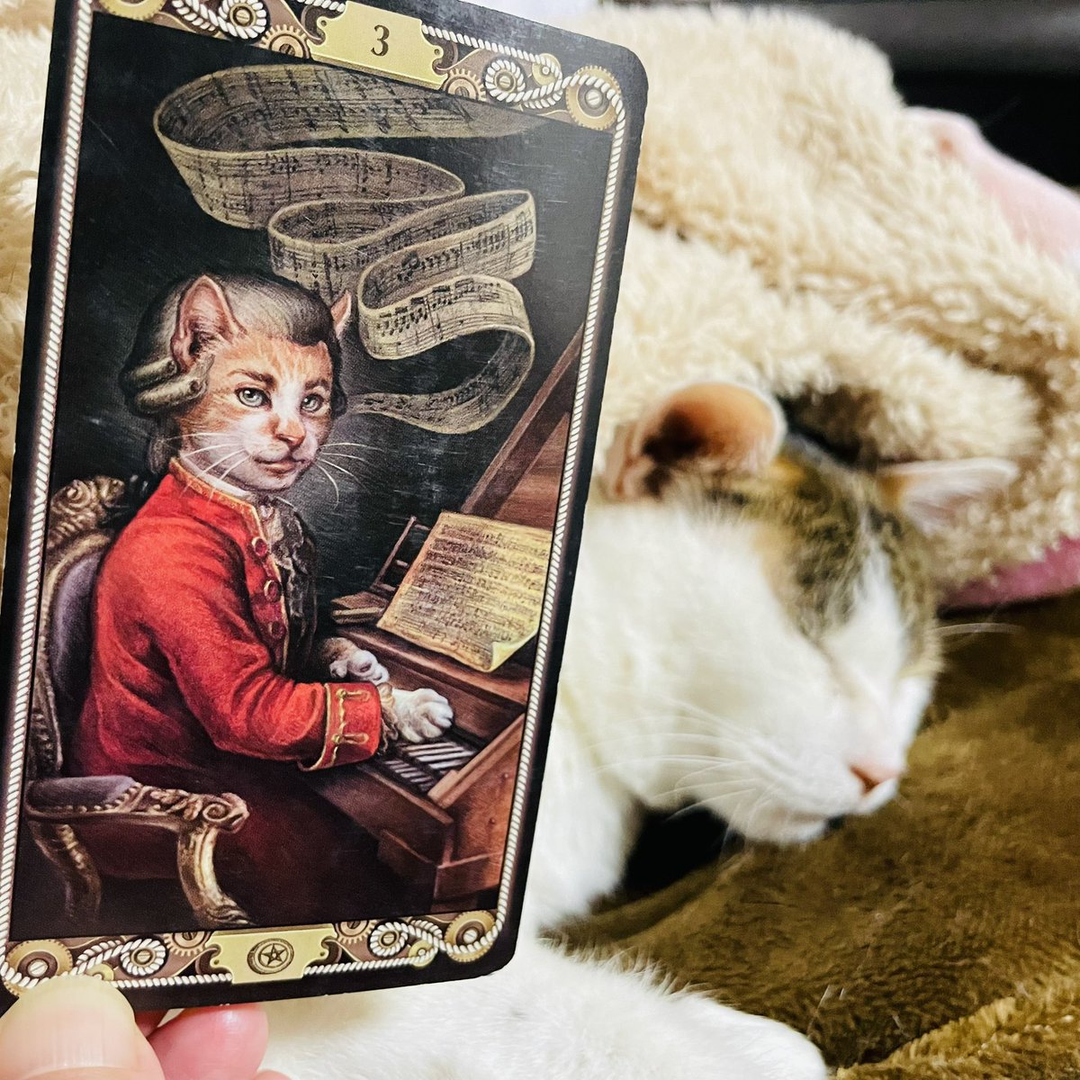 oraclerinko's tweet image. 2/25評価される日👍地道に取り組んできたことが認められそう✨また自分では普通だと思っていたことが注目され、何か依頼されることも☝️自分の実力を信じ、胸をはって🤗この機会に腕を磨きましょう💪 #3ofPENTACLES #あたしかりあげﾆｬ #タロット #猫