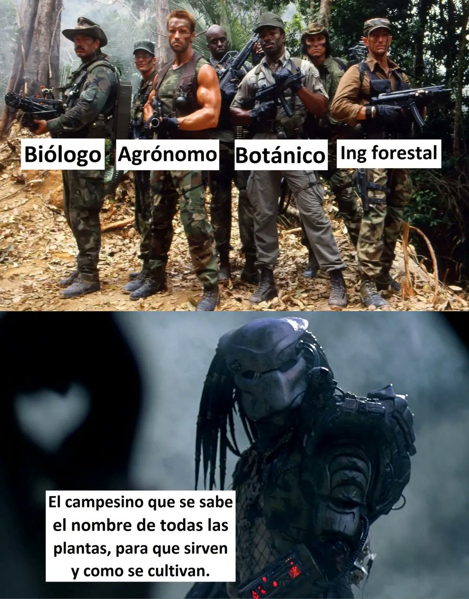 RincnCuriosoo's tweet photo. Campesino GOD 😎 https://t.co/w9vvQSNlFa