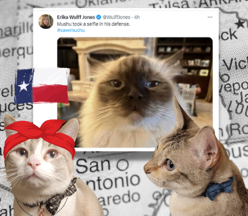 KittyPalaceTX's tweet photo. #Kittystan2023 stands with Mushu #savemushu 
Come and take it
We double dog dare you 😂
#KittyPalaceAnarchy https://t.co/nnuS6Et1nk