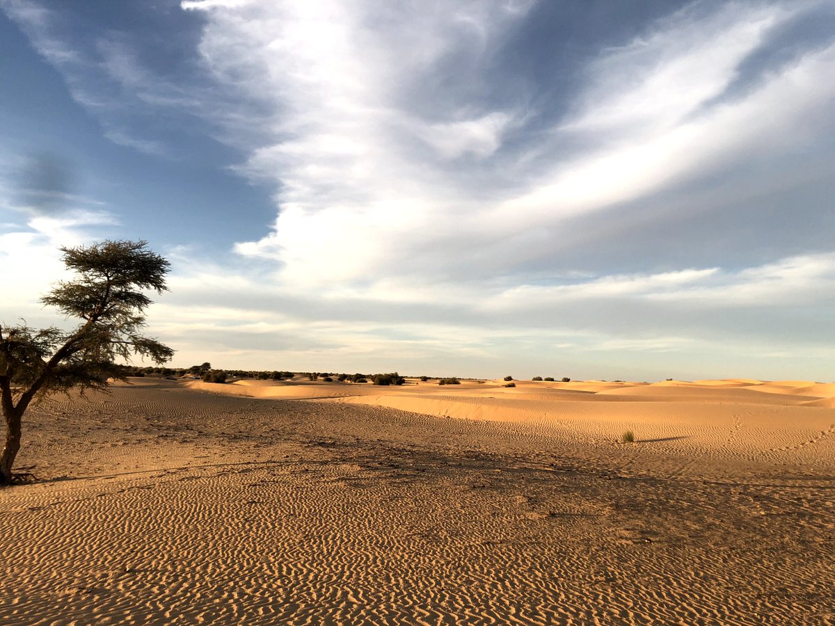 MossaRazelma's tweet photo. Les belles dunes de mon Village  qui semblent concurrencier celles de Dubaï. https://t.co/0EBxmD6OZp