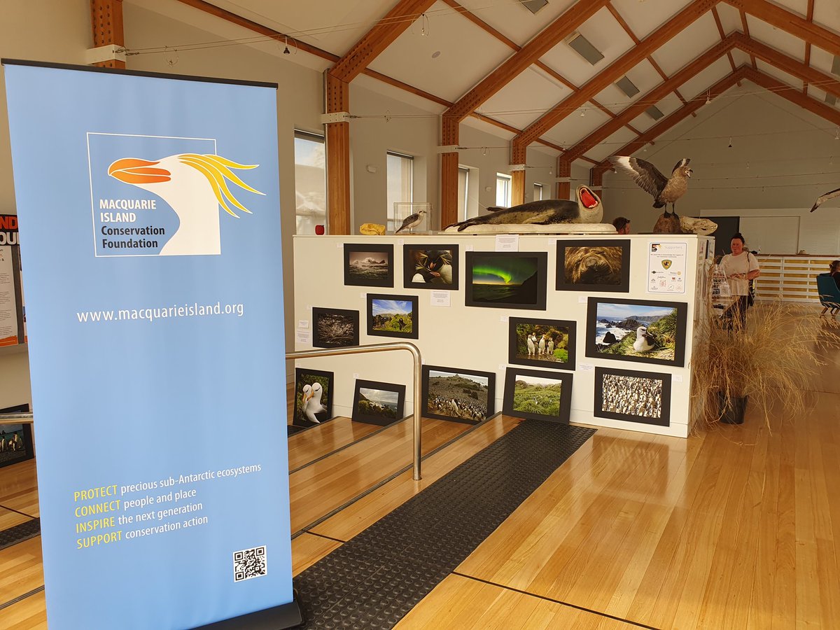 Macq_Island's tweet photo. Come and join us at the Waterside Pavilion this weekend for our exhibition a Journey to Macquarie Island 10am-4pm. Wildlife and botanical art, a virtual tour of the island, information and contribution from Howrah Primary. 

 @AusAntarctic @TasmaniaParks @IMASUTAS @tourismtas https://t.co/UxKj7rVZBu