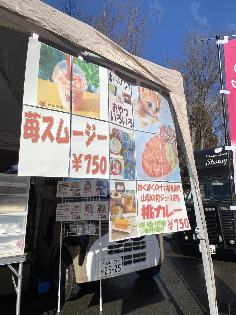 nekoskitchen25's tweet photo. おはよっ☀️
開幕戦はでツイート出来なかったけど今日も小瀬にいるよ🥹
#vfk
#小瀬
#jitリサイクルインクスタジアム https://t.co/1XEzi3aOfp