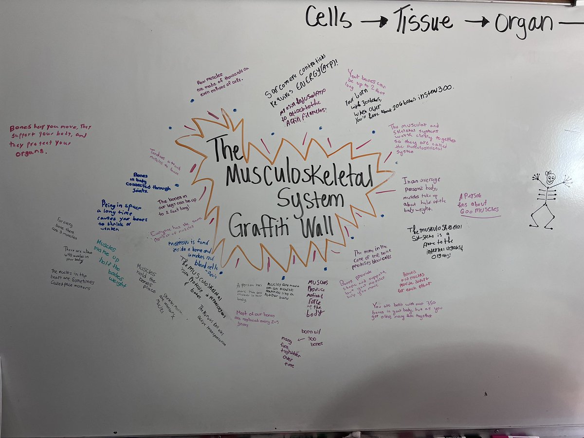 Kate Hayes tweet media