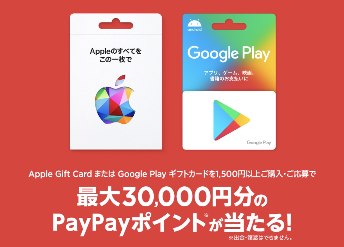 iPhoneMania_jp's tweet photo. セブン、#Apple Gift Card購入で最大30,000相当のポイントを還元 - https://t.co/aZV5k2RLnO #キャンペーン #AppleGift https://t.co/XTbqK53g9R