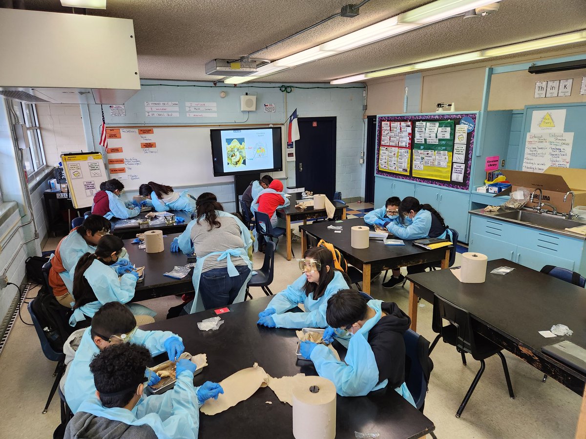 Huge shout out to <a href="/Fonville_MS/">Fonville Middle School</a> Ms. Herrera and Ms. Clark for engaging our students in hands-on learning with today dissection lab. #falconstrong @HISDMiddleSchls <a href="/HoustonISD/">Houston ISD</a>