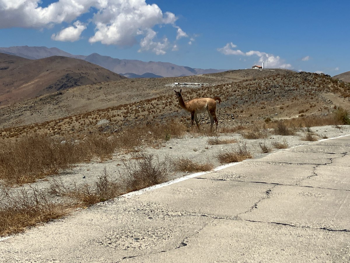 I'm back as Las Campanas Observatory (<a href="/LCOAstro/">Carnegie Las Campanas Observatory</a>) preparing to observe on Magellan!