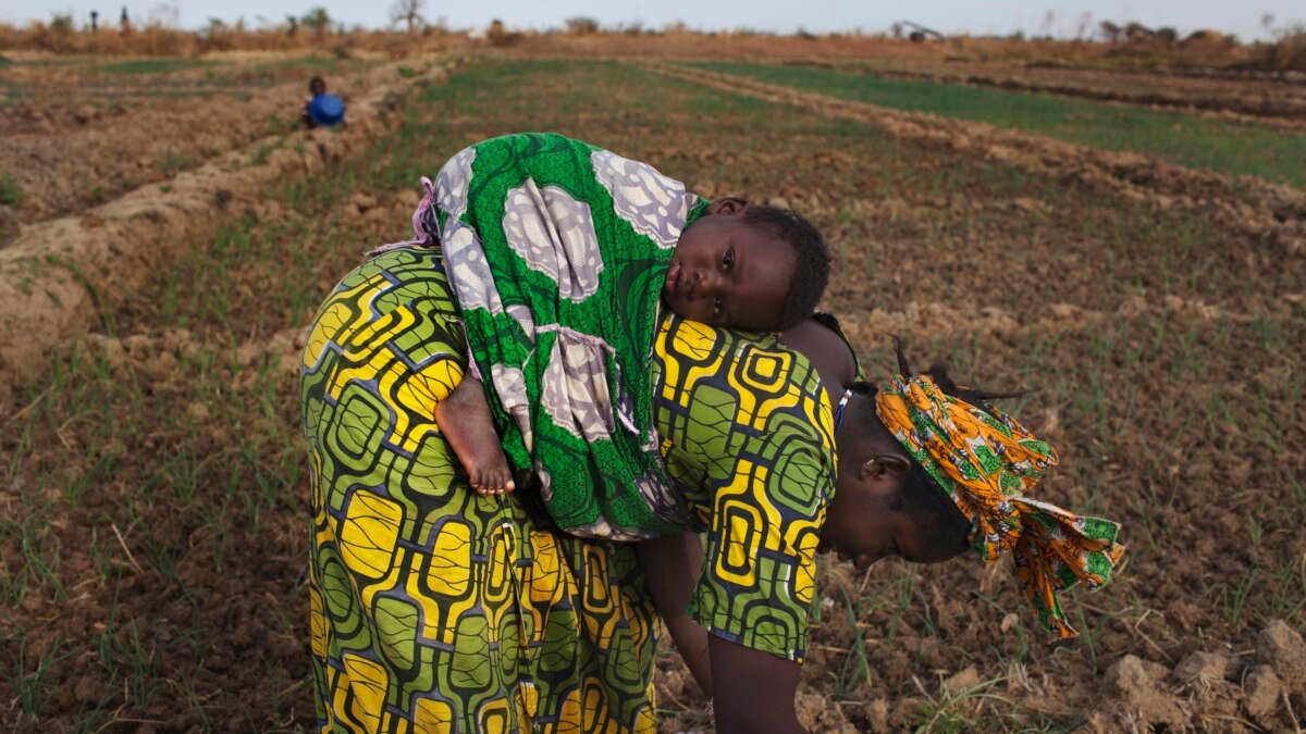 JNjeri254's tweet photo. #IWD2023 🇩🇯
As #InternationalWomensDay is approaching, I want to take this Opportunity we need to empower women both in business and agriculture.
They need to acquire skills which will help them out.
#WomenEmpowerment
#WomenInBusiness#PACJA#KPCG23 https://t.co/bmes3pq1iA