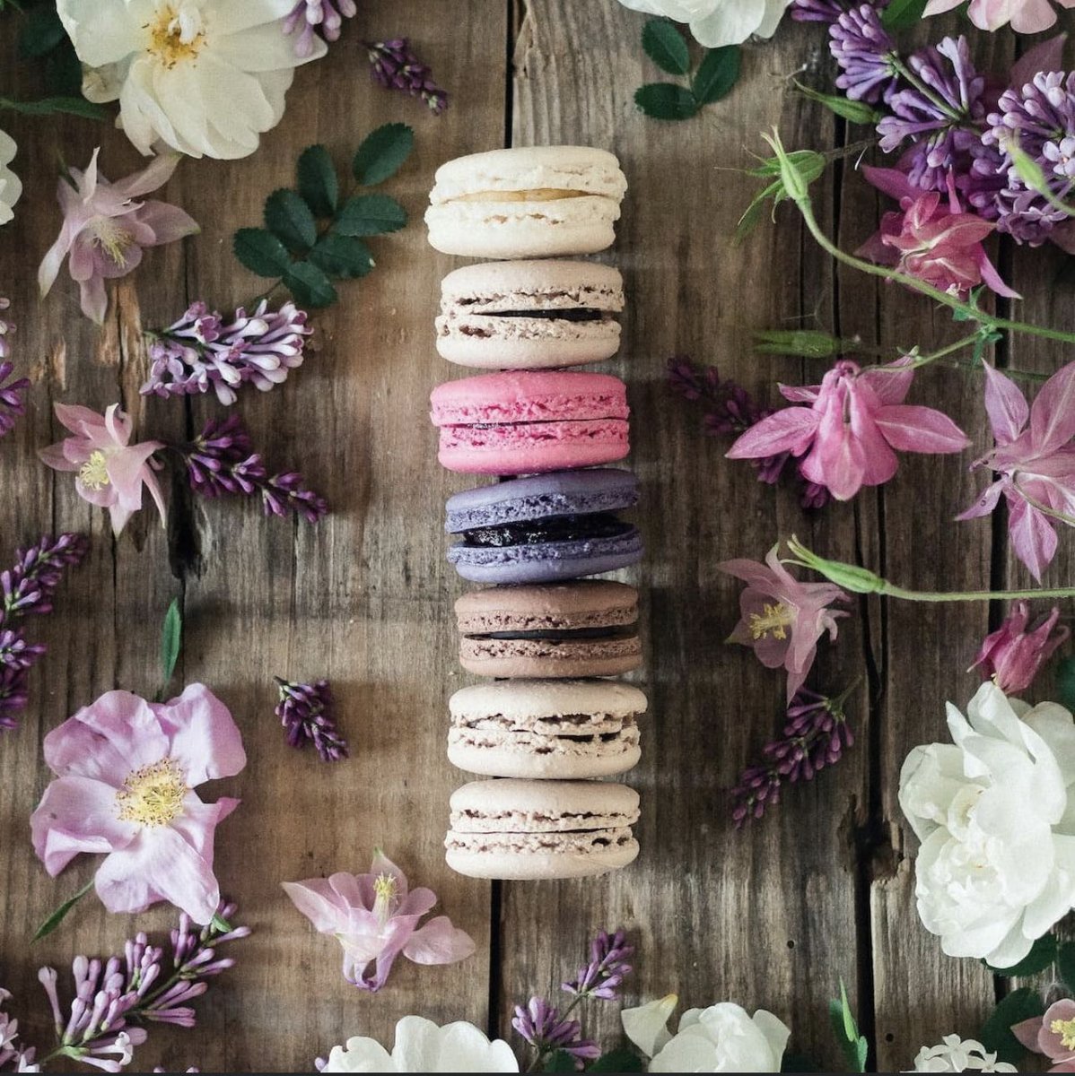 Colorful, Delicious & Soft.
Perfect size treat waiting for you at Adélie! 
#welovemacarons #frenchmacarons #justenoughsweetness #fulloflife #adéliebakerie #splitcroatia #frenchbakery