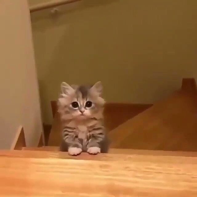 how are you guys doing? i hope everything is great!