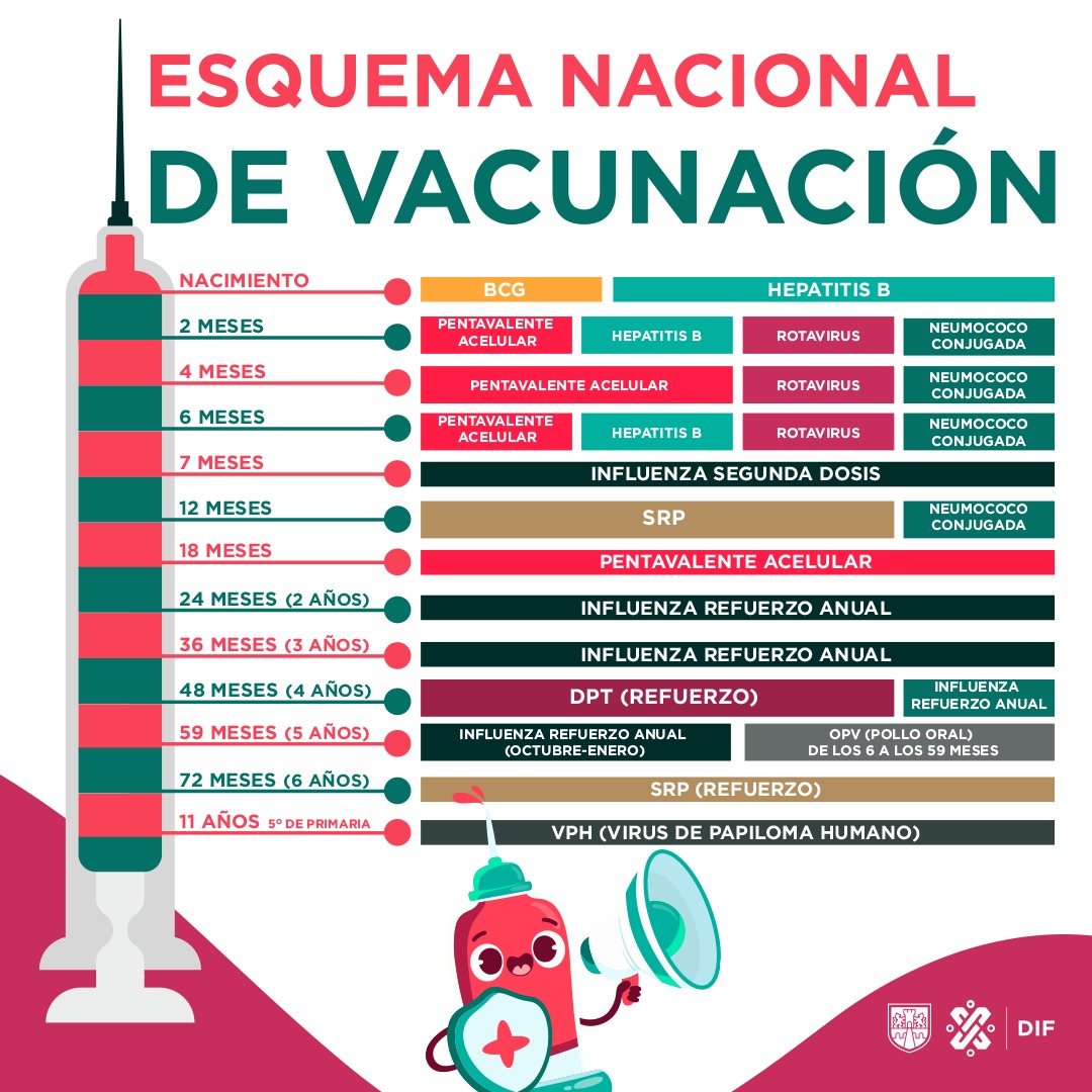 DIF Ciudad de México on Twitter "Es importante hacer conciencia sobre la importancia de las
