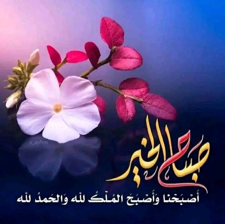 captenessam11's tweet image. هل تتذكر متى انضممت إلى Twitter؟ نعم أتذكر! #الذكرى السنوية_لانضمامي_إلى_Twitter