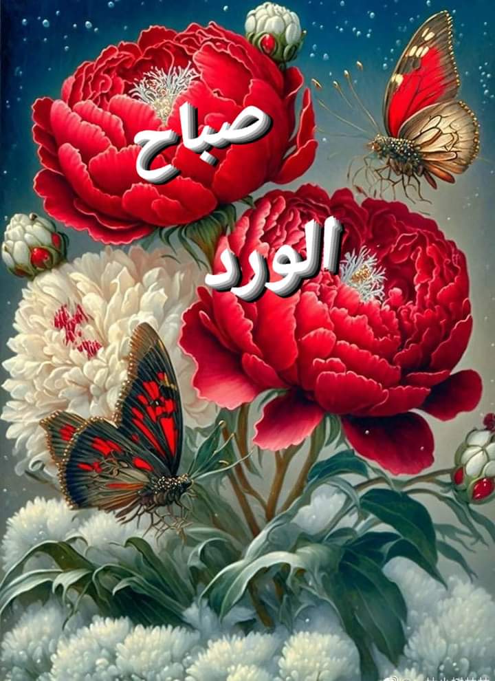 captenessam11's tweet image. هل تتذكر متى انضممت إلى Twitter؟ نعم أتذكر! #الذكرى السنوية_لانضمامي_إلى_Twitter