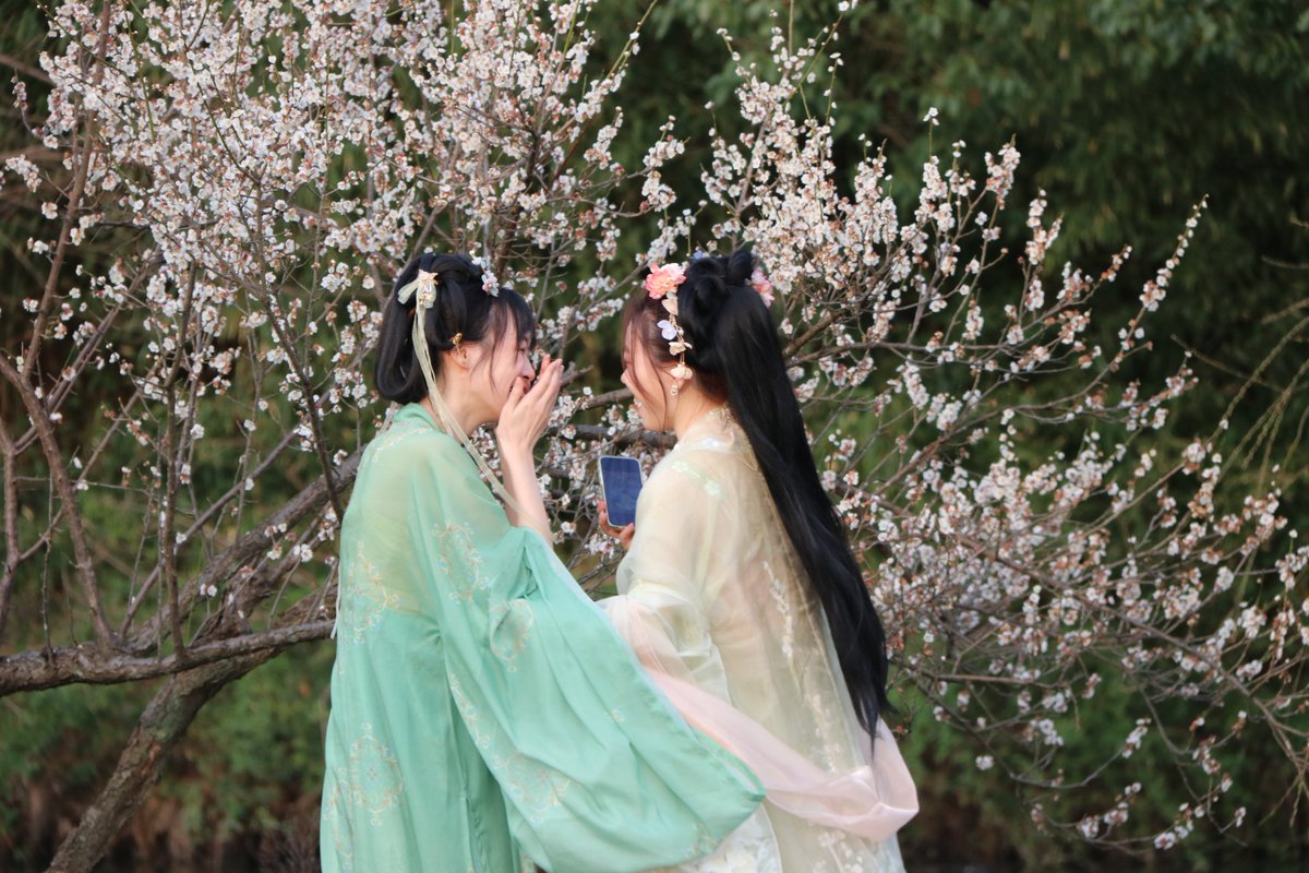 wu_lingxia's tweet photo. 西溪湿地梅花盛放，穿着汉服的小姐姐们与梅花争艳，你觉得谁更美 https://t.co/vz9yMASl8G
