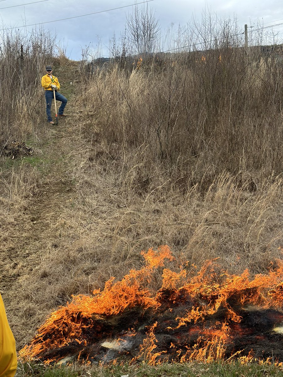 DobynsFfa's tweet photo. What’s cooler than watching a prescribed burn on your high school campus and the coolest kids in school?!! Here’s to the only fire program in the state of Tennessee @DBFirechief thanks so much for inviting us and for informing us today!!! #mytribe #onetribe @tnffa @NationalFFA https://t.co/swA0VwOk46