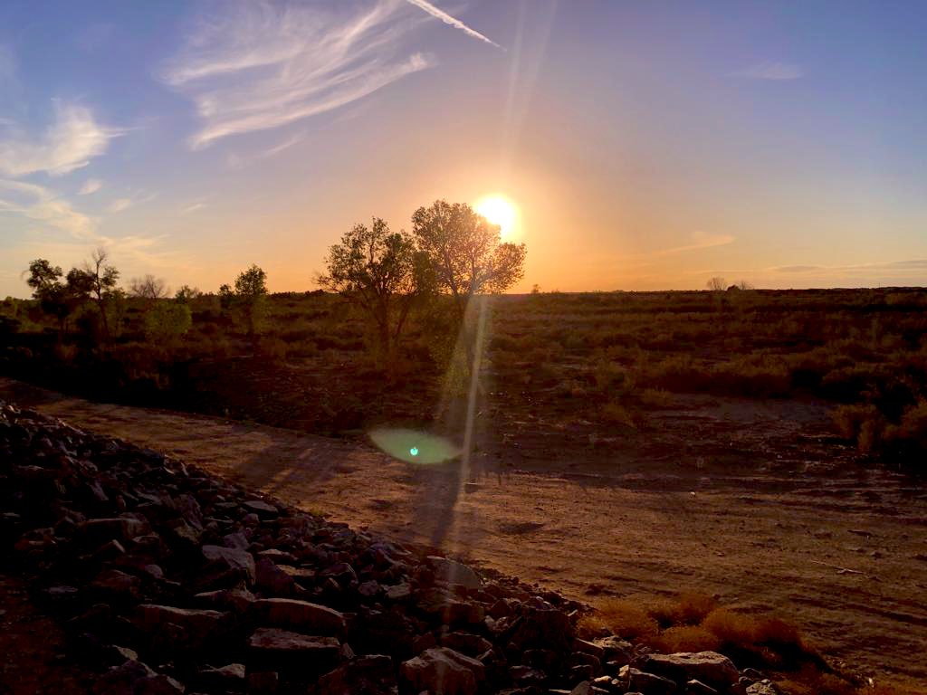 CyclesWater's tweet photo. 🚴‍♀️Biking Around Colorado River + Southern California 🌊

✨Trip Updates ✨

Day 5: The last day of our trip! Thank you for coming along on this journey with us. 
 
📍Key Takeaway for Day 5: Sunset hour and biking are a good combo in #socal https://t.co/YLGljmrFS1