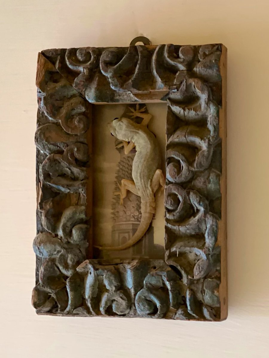 franklin_amit's tweet image. #camouflage #photos I saw this lizard resting on the frame. At first I thought it is some artwork but then she was alive and resting peacefully. #perfectframe