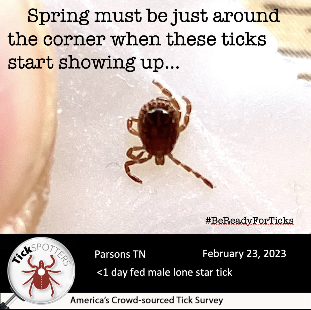 thetickguy's tweet photo. Here's an early reminder it's time to #BeReadyForTicks. And a good way to be ready is to have some professionally repellent treated socks and pants ready to put on whenever you step outside https://t.co/9FFI3exYn6 @Pogue @LymeDiseaseLDA @ticklab @RealMalachowski @insect_shield https://t.co/jOSghGWH8h