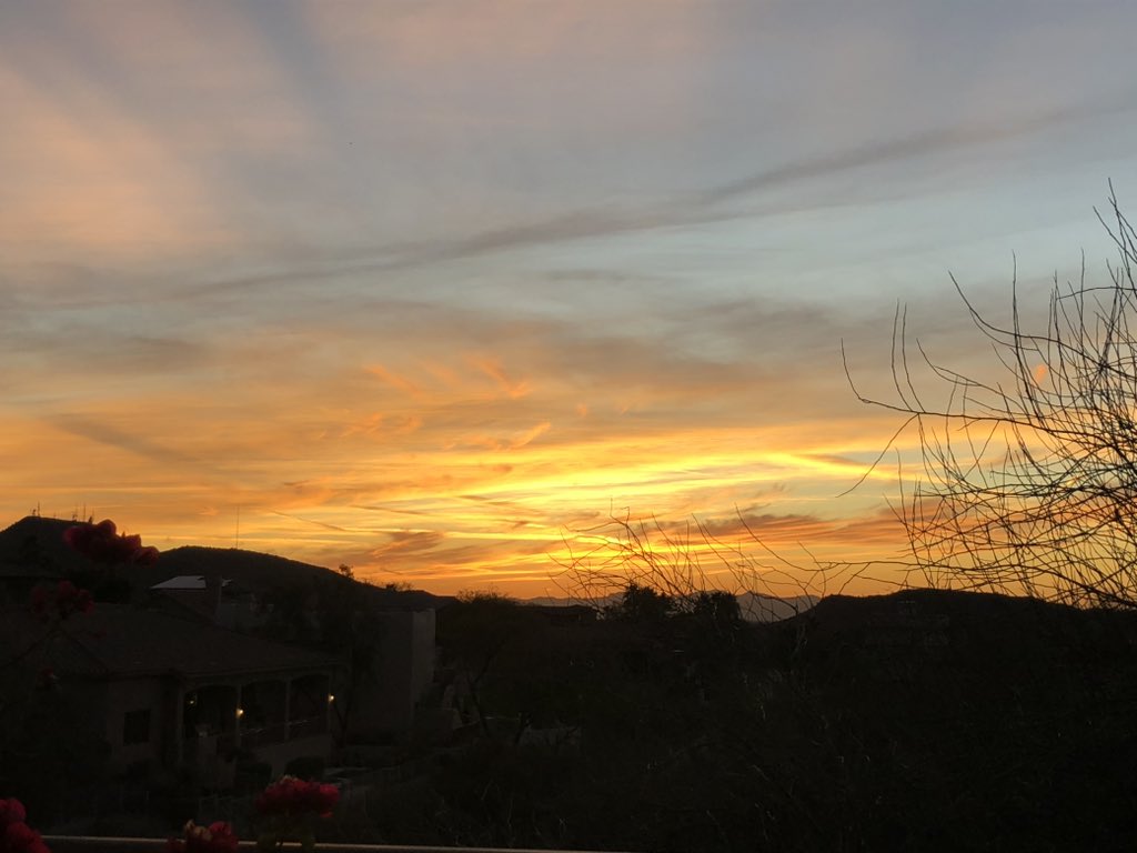 Matt Coviello tweet media