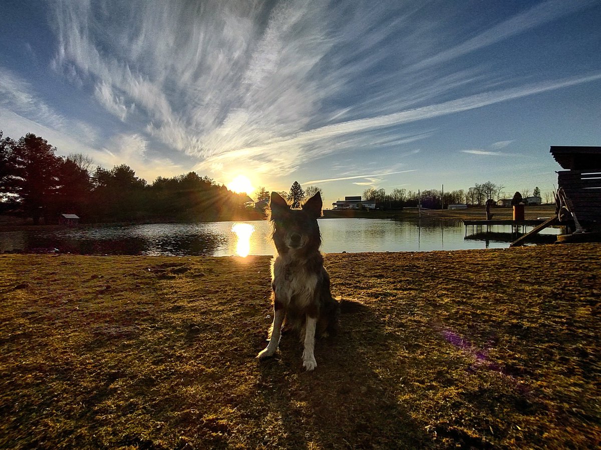 Ash Sweet tweet media