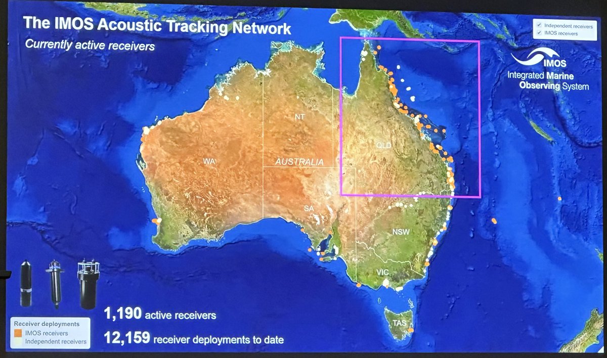 Pelican1's tweet photo. @PortPlaces @IMOS_AUS And what a spectacular day to head out! Clear viz to 12 meters, great company with @IMOS_AUS and learning much more about the @IMOSAnimalTrack acoustic projects all around Australia #projectkingfish #collaborativescience #therip https://t.co/GhVFfAzaSj