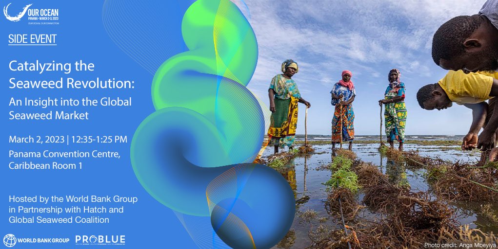 Valerie Hickey tweet media