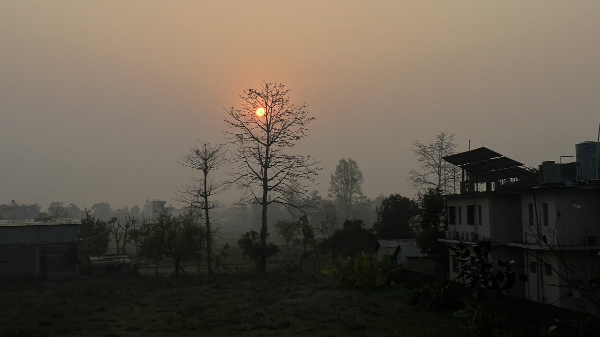 parmeshwarjhaa's tweet image. Good morning #Sauraha
