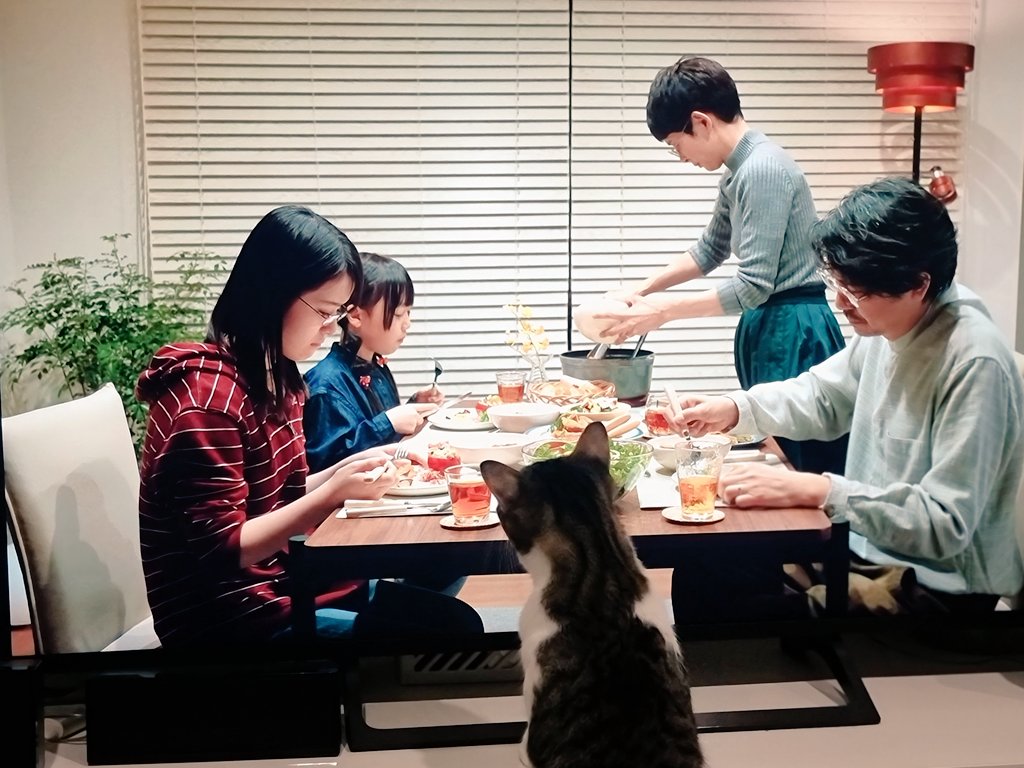 Incognito_me's tweet photo. #Caturday
#CallMeChihiro 
#MasterSam 🐈 https://t.co/qJHx1iqNgd