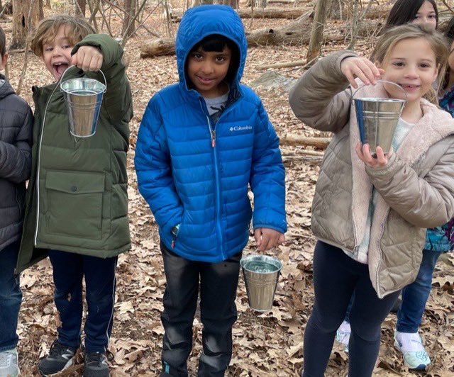 Continuing the maple syrup process!