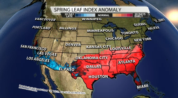 Marc Weinberg tweet media