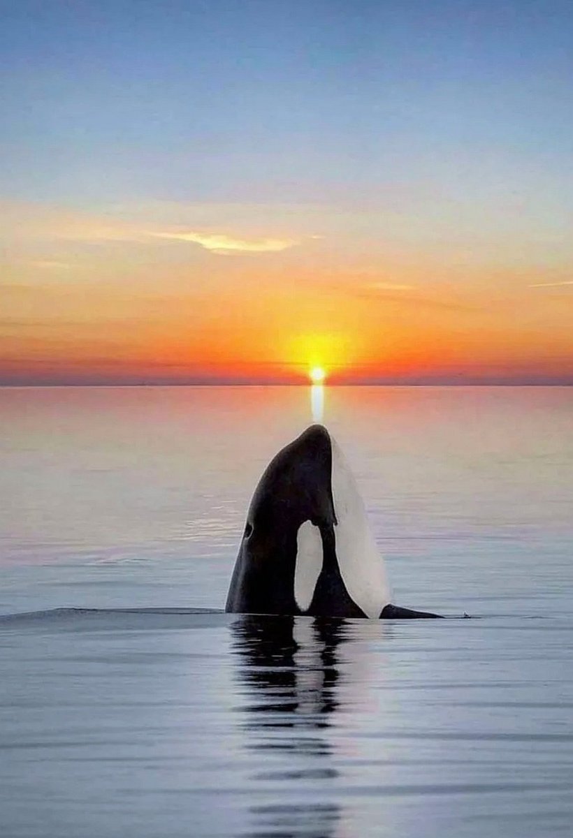 Positive anything is better than negative nothing.

Elbert Hubbard