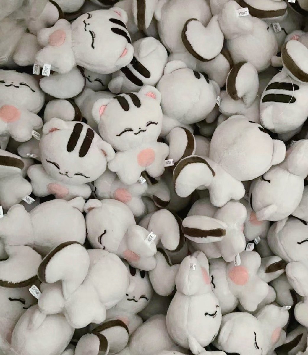 기다려주셔서 감사합니다!
슈람지의 생산이 완료되어 한국으로의 출발을 앞두고 있습니다.
도착까지는 일주일정도의 시간이 걸리며 날씨나 현지상황에 따라 조금 늦어질 수 있습니다.
캐럿랜드까지 시간을 맞추기 위해 최대한 빠르게 배송준비해보겠습니다!🥰