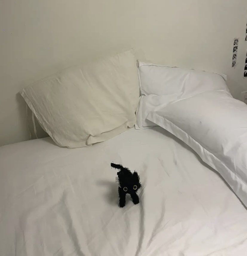 omgg who wanna be besties on spotify wink wonk