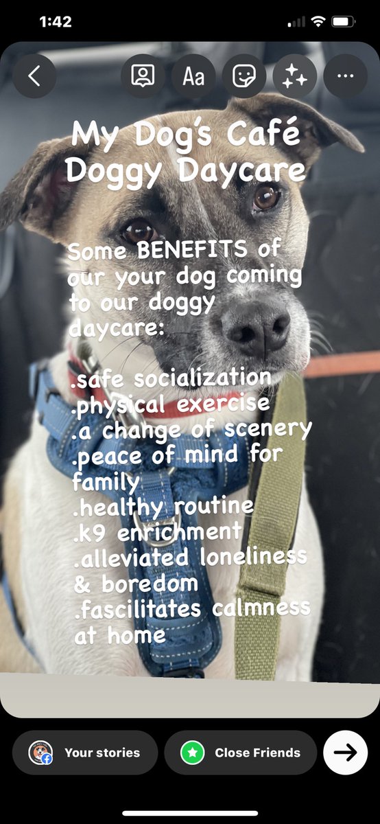 Some benefits of your dog coming to our #DoggyDaycare We offer free pickup/drop off to a couple of #hamont dog parks.  #ancaster