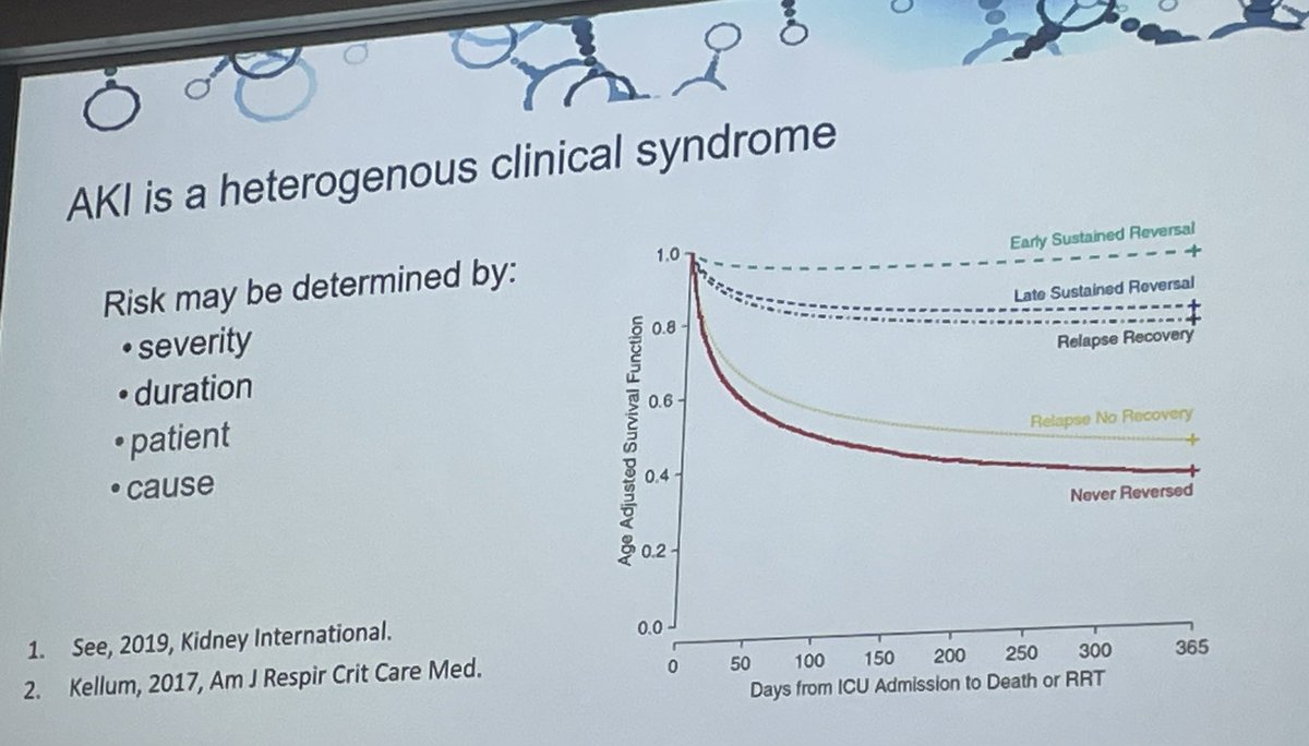 20% of patients who get an antibiotic get an adverse event, and 1/4 of ADRs are kidney-related - Amy Legg discussing kidney toxicity of antimicrobials #antimicrobials2023 <a href="/legg_wamy/">Amy Legg</a> #AMS #kidneytoxicity
