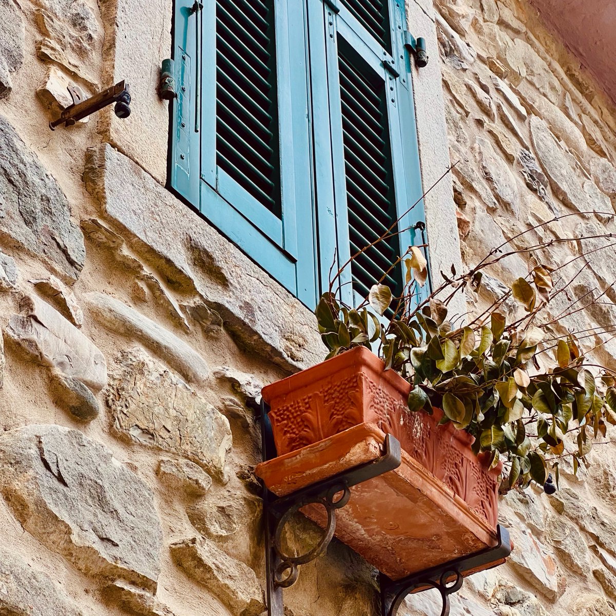 WatermillPosara's tweet photo. We eagerly await for the spring here at the mill. Even though skies are grey and it's still chilly, we still managed to capture a few charming images for your viewing enjoyment.
#toscana #ruralTuscany #posara #Fivizzano #demijohns https://t.co/YtMJ3LhRuv