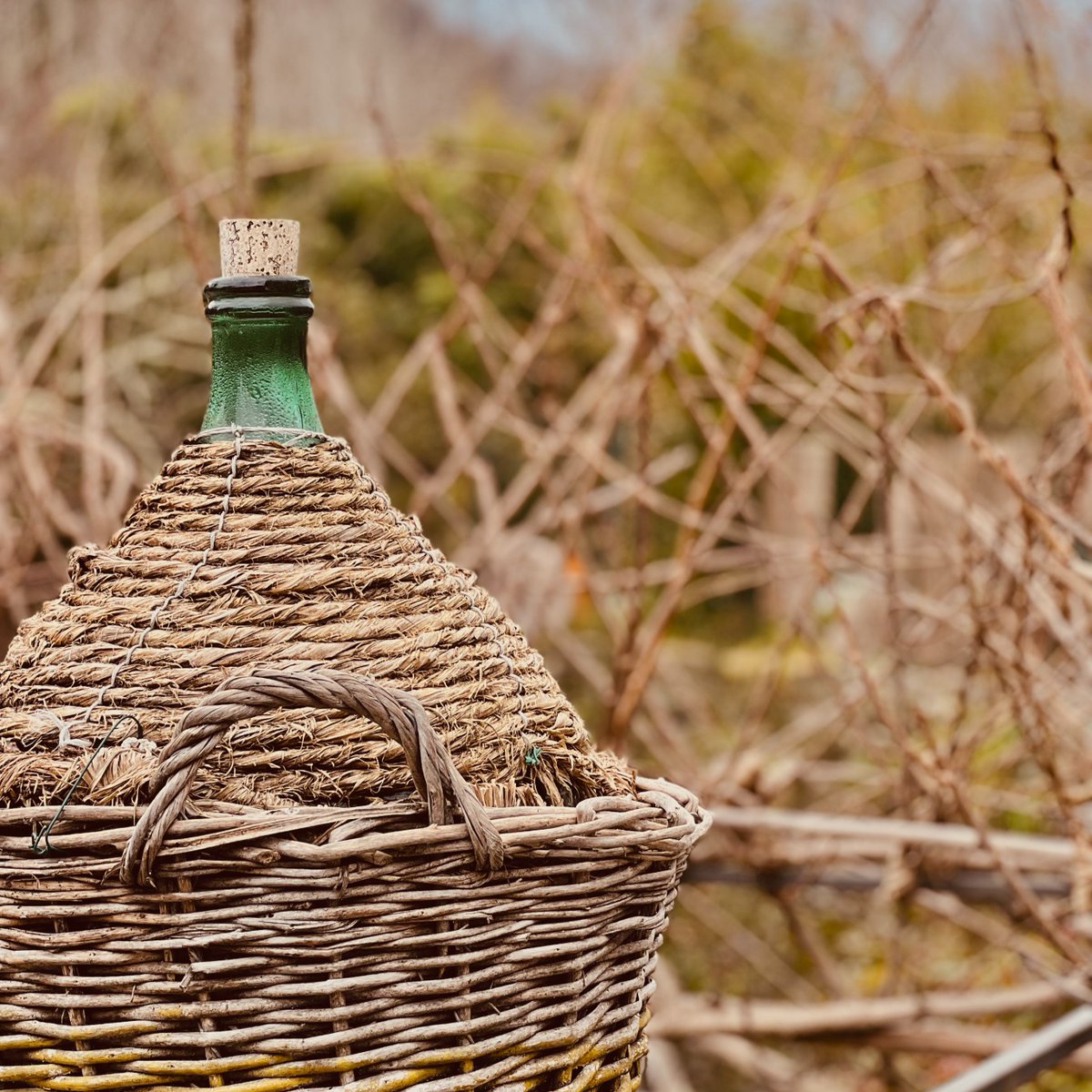 WatermillPosara's tweet photo. We eagerly await for the spring here at the mill. Even though skies are grey and it's still chilly, we still managed to capture a few charming images for your viewing enjoyment.
#toscana #ruralTuscany #posara #Fivizzano #demijohns https://t.co/YtMJ3LhRuv