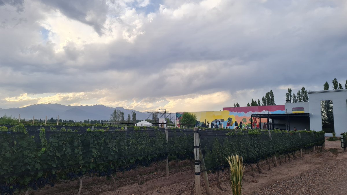 guille_barletta's tweet photo. Esas cosas que te da la vida!
Sunset en #FosterLorca
#Vendimiaenlasbodegas https://t.co/GMmQv0Ph9B