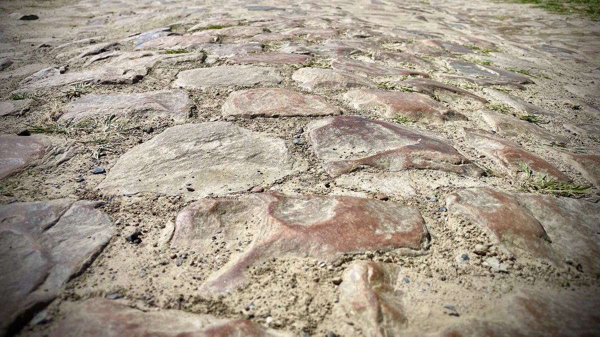 kinghernan88's tweet image. On y est… #flandriennes #pavés #classiques🚴‍♂️