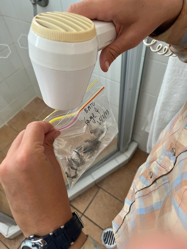 Mattea Taylor tweet media