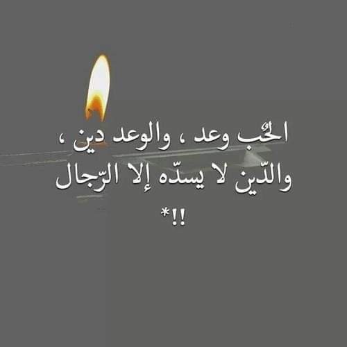 Tamer Arfa (@arfa_tamar) on Twitter photo 